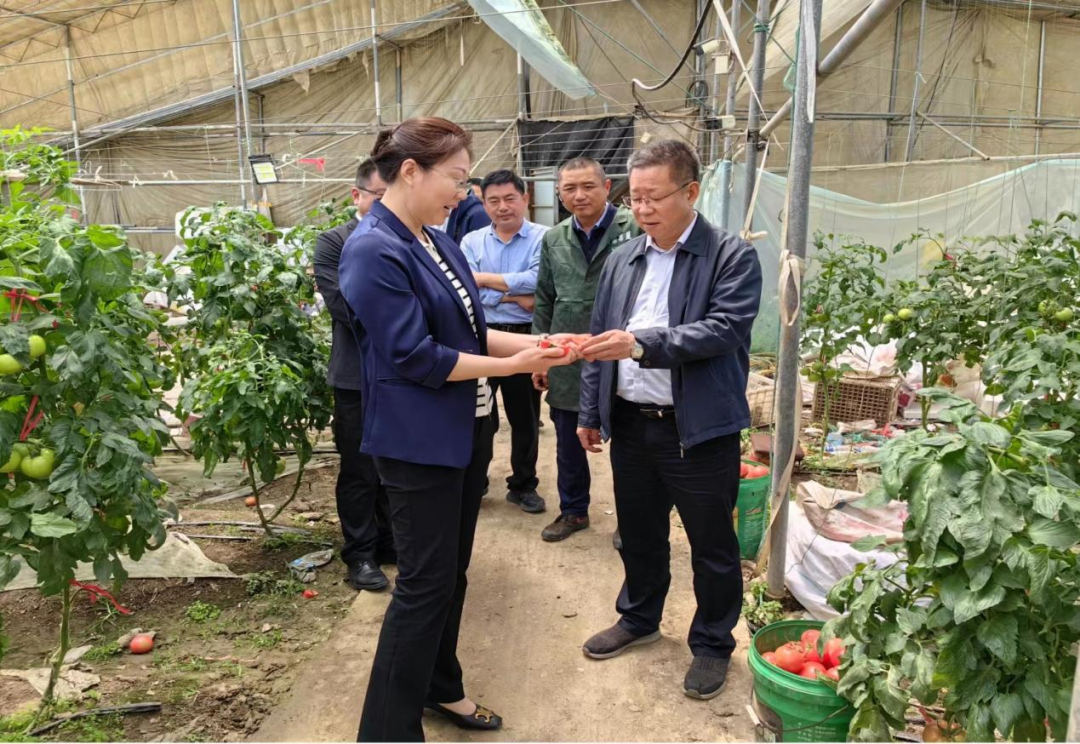 吴天赴集团定点帮扶村及有关机构调研